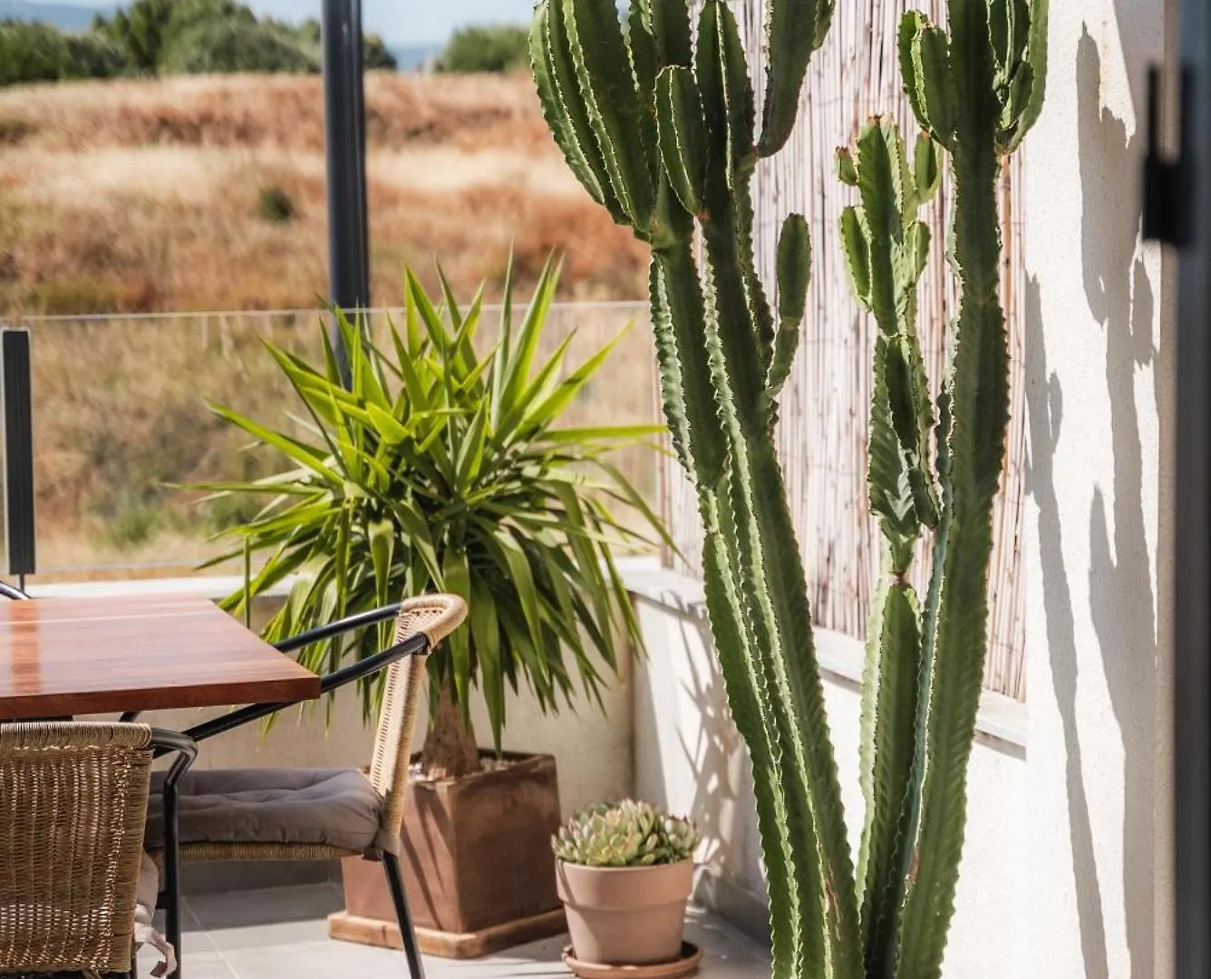 Apartmán Tarifacozyhouse - Chill Out  Tarifa